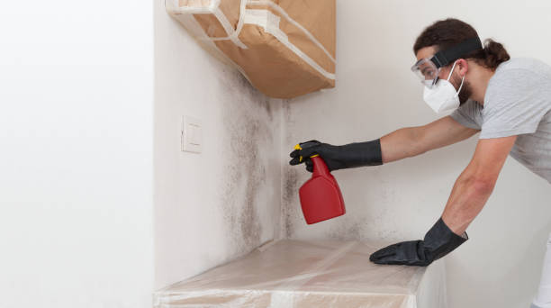 Professional Crawl Space Mold Remediation technician working in Bellvue, CO