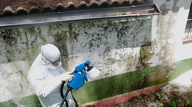 Top rated local Crawl Space Mold Remediation specialists in Bellvue, CO